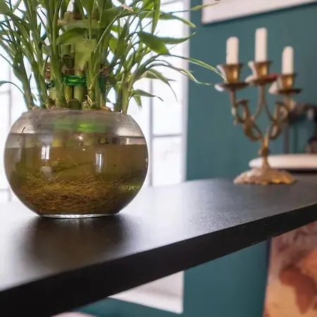 Cool Apartment *